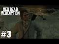 Man Of Justice : Red Dead Redemption 1 (Enhanced) Walkthrough : Part 3 (Xbox One)