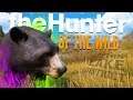 The Hunter Call Of The Wild | IT CAME DOWN TO A BEAR!! (REALISM RAT CHALLENGE)