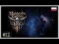 Baldurs Gate 3 pl - Nettie i komnaty druidów  #12 (gameplay po polsku)