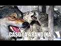 Caso La Arandina Manada de lobos