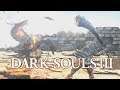 Dark Souls 3 - Havel vs The Hacker