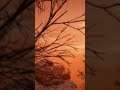Dusk to Dawn transition | Far Cry Primal | Numeric Gamers