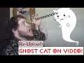 Ghost Cat Caught on Camera! (Reupload)