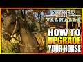 How to Change or Upgrade Mount/Horse Tips & Tricks in Assassin's Creed Valhalla