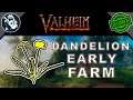 How to Farm: Get Dandelion Tutorial in Valheim Farming Beginners Guide