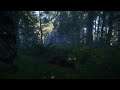 Hunter: Call of the Wild - New Zealand - Part 3 - Turkey shoot