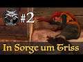 Let's Play The Witcher 1 #2: In Sorge um Triss (Modded / Schwer)