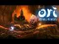 ORI AND THE WILL OF THE WISPS #8 | Ein neues Zuhause | LET'S PLAY