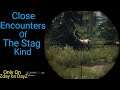 Close Encounters of The Stag - Zday on DayZ