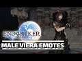 Final Fantasy XIV: Endwalker Male Viera Emotes - PC [Gaming Trend]