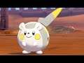 How to Catch TOGEDEMARU (Route 8) - Pokemon Sword & Shield