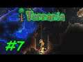 Flaming Mace Like a Pro - Let's Play Terraria 1.4 Master Mode Part 7
