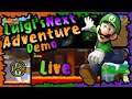 Let's Stream Luigi's Next Adventure "Ein NSMBW Hack von G4L"