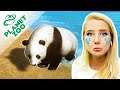 PANDA V OHROŽENÍ 🐼 A ÚŽASNÝ LABYRINT ● Planet Zoo 10