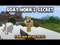 The Secret of Minecraft 1.17's Goat Horn