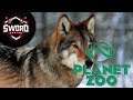 Timber Wolf  I  Planet Zoo  #10