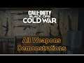 All Gameplay Weapons Demonstration in Call of Duty Cold War
