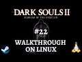 Dark Souls II Scholar of the First Sin Walkthrough On Linux Part 22: Darklurker & Vendrick - Proton