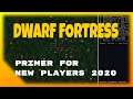 DWARF FORTRESS ~ Primer for New Players 2020
