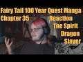 Fairy Tail 100 Year Quest Manga Chapter 35 Reaction The Spirit Dragon Slayer