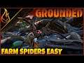 How To Fight Spiders In Grounded The Game