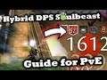 Hybrid Soulbeast Guide for PvE - Power/Condition Ranger - Guild Wars 2