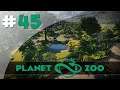 Sapajous, Tamanoirs & Tortues - #45 Planet Zoo