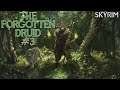 Skyrim Build: The Forgotten Druid | #3