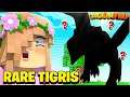 SUPER RARE TIGRIS DRAGON ?! | Minecraft DragonFire The Corruption | Little Kelly