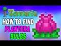 Terraria: How To Find Plantera's Bulb Easy (Fast Tutorial)