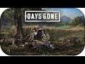 Days Gone ~ #25 FINAL DEL JUEGO ~ [DIRECTO] Bienvenido a Zombieland