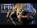 Jedi Fallen Order - Ogdo Bogdo Easy Takedown & Bogano Secret Echo location