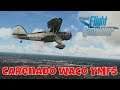 Microsoft Flight Simulator 2020 - Carenado Waco YMF5 Addon First Look and Take off Tips