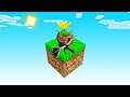Minecraft BUT The ENDER DRAGON Is SO TINY!