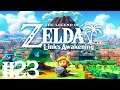The Legend of Zelda: Link's Awakening #23 - MUSZELKI I INNE SKARBY