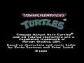 Teenage Mutant Ninja Turtles (C64) [Story and bosses]