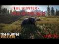 THE HUNTER - CALL OF THE WILD LIVE 36 REDIFFUSION 11/08/2019- LET'S PLAY FR PAR DEASO