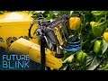 Autonomous Robot is Making Gardening a Whole Lot Easier