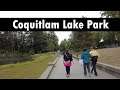 Coquitlam Lake Trail