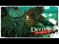 Divinity: Original Sin - Lake of Serenity | 1 Hour version || HD