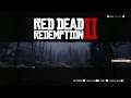 Dozkoz и Red Dead Redemption 2. 1 стрим.