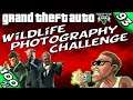 GTA V - WILDLIFE PHOTOGRAPHY CHALLENGE [100% GOLD Walkthrough]