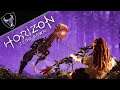 Horizon Zero Dawn PlayStation 4 | 958 Adventure Night (To the Story!)