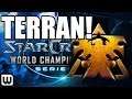 Starcraft 2 WCS 2019 | HEART OF A LION - Clem (Terran) v Showtime (Protoss)