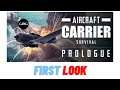 Aircraft Carrier Survival - First Look Gameplay