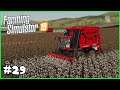 Algodão rendeu muito e agora estamos com a GRANA - Farming Simulator 19 (De Roça Em Roça #29)