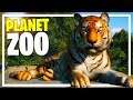Starting a Zoo from Scratch in Planet Zoo Beta!
