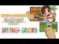 Story of Seasons: Friends of Mineral Town (Switch, PC): How to Grow Crops in ALL Seasons