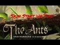 The Ants : Underground Kingdom Skin Staring Up Tips