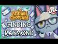 CAN I FIND RAYMOND? - Animal Crossing New Horizons | Live Stream